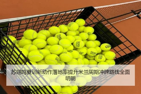 苏翊鸣夏训新动作落地率提升米兰周期冲牌路线全面明朗